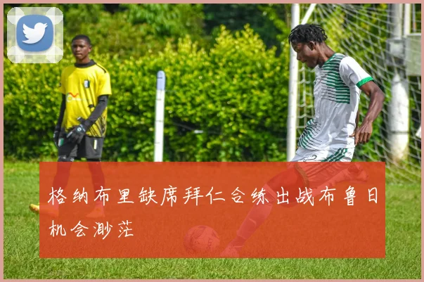 格纳布里缺席拜仁合练出战布鲁日机会渺茫