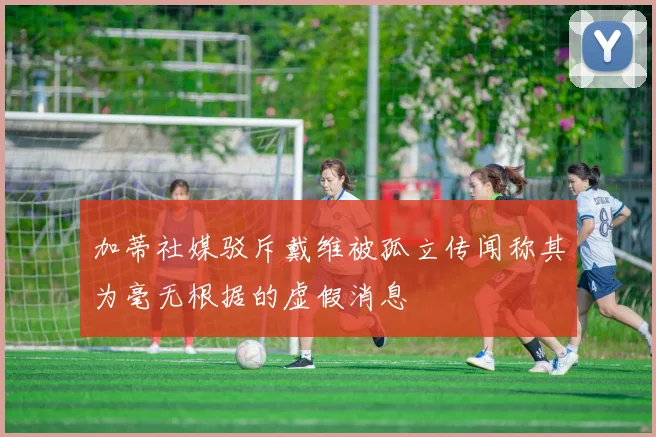 加蒂社媒驳斥戴维被孤立传闻称其为毫无根据的虚假消息